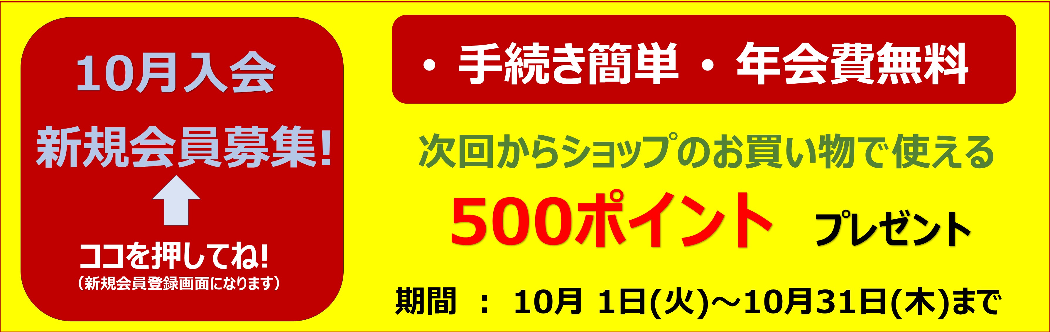 2024年10月新規会員募集