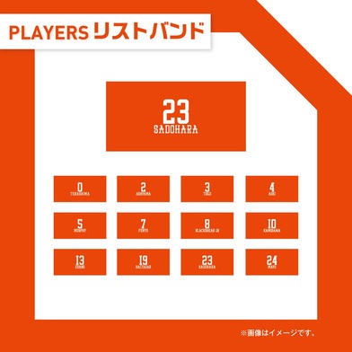 広島ドラゴンフライズ 2022-23選手リストバンド