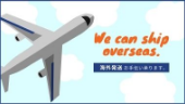 We can send products overseas.