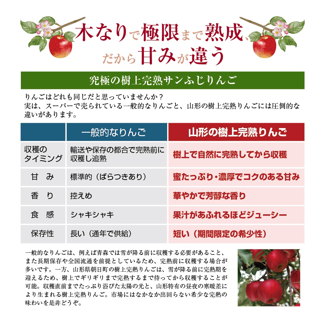 サンふじりんご4