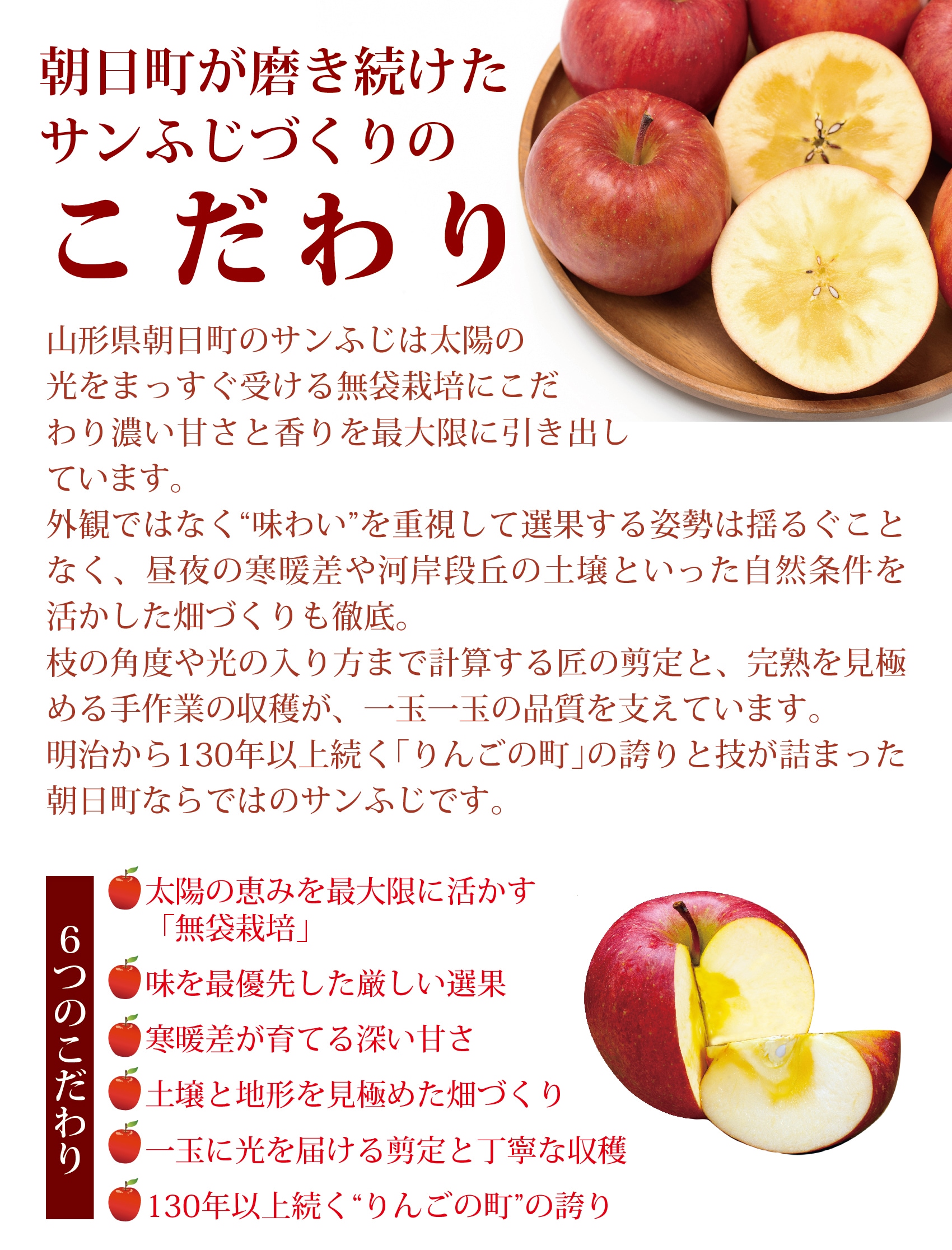 サンふじりんご5