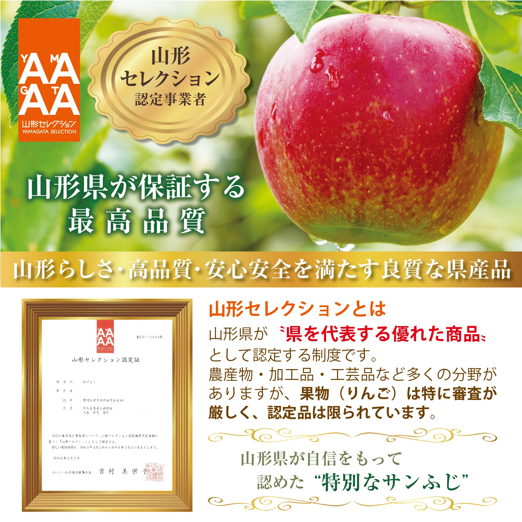 サンふじりんご6