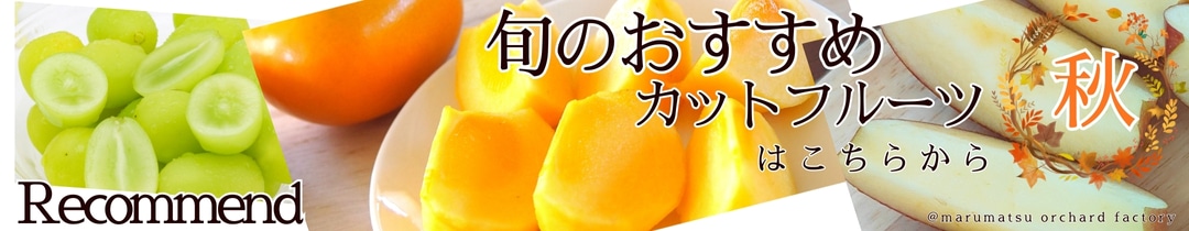 �ȼԸ����Хʡ�3