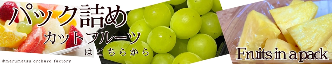 �ȼԸ����Хʡ�2