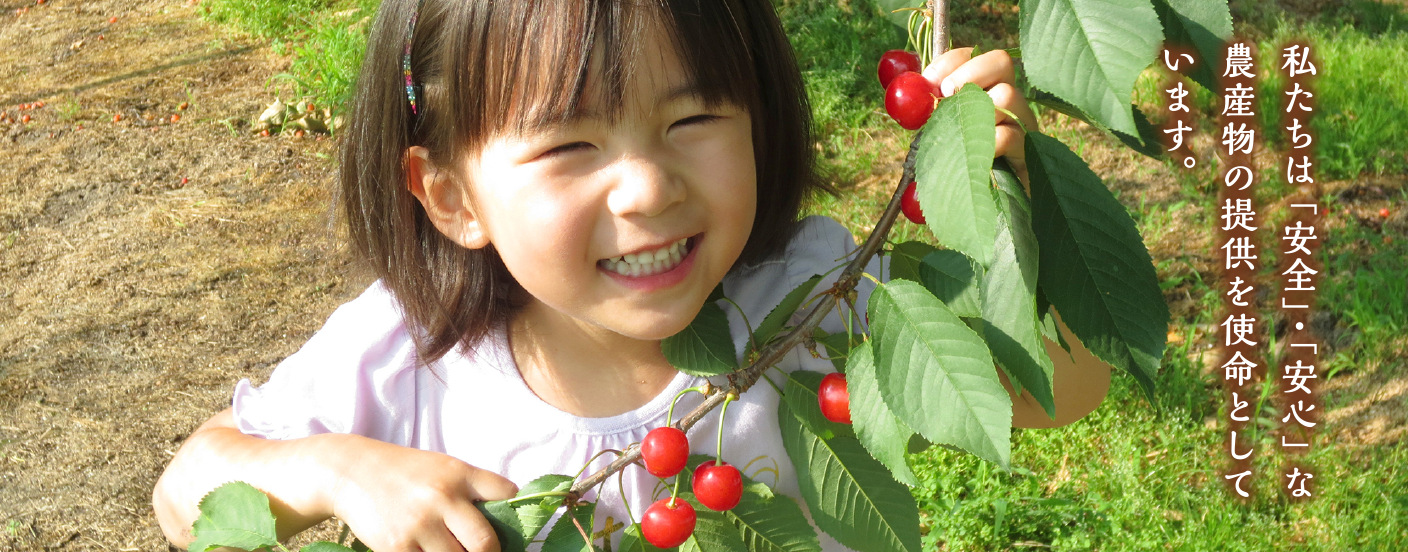 訳あり】【送料無料】山形県産泥付き「里芋」お徳用５kg(S～Ｌ サイズおまかせ)