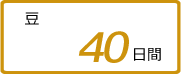 Ʀ40