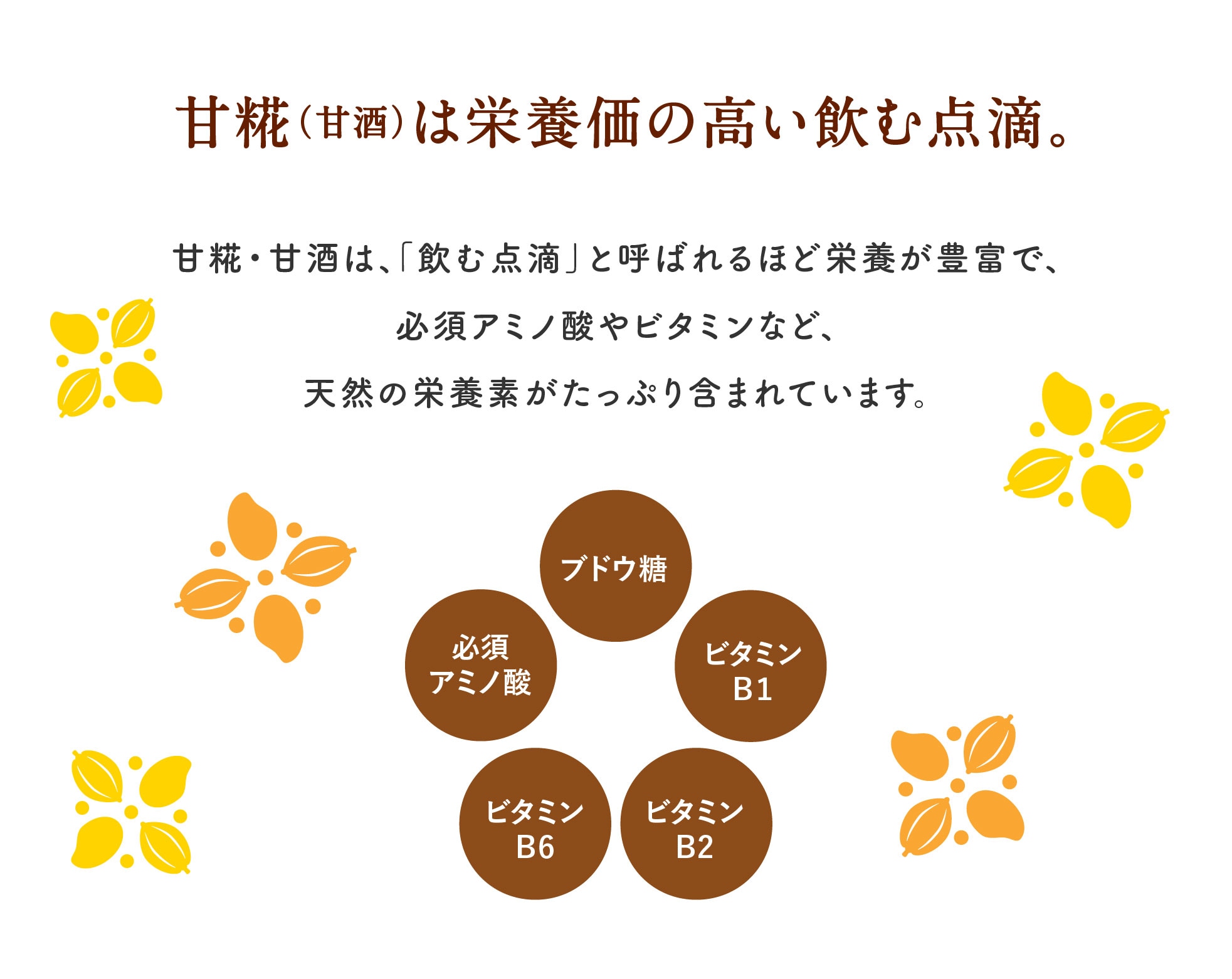 糀チョコ_説明