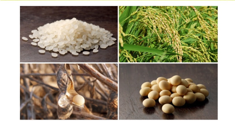 自然栽培米 朝日・大豆