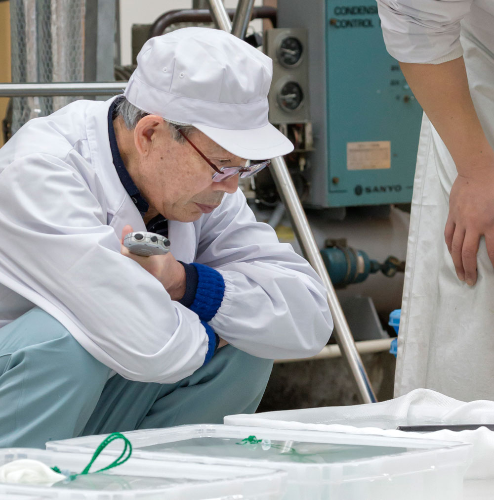 �ⶶ�λ�ΰ��ä˴ؤ������1