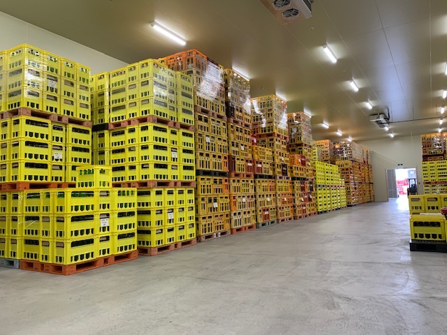 ��������Ƥ˴ؤ������2