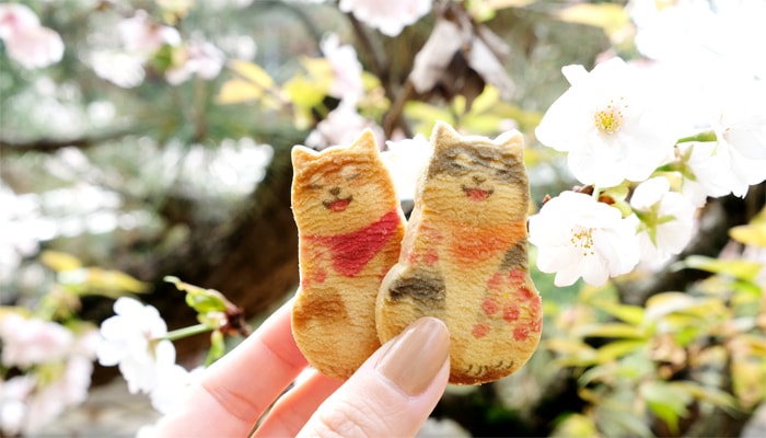 【京都まるん】京のクッキー食べくらべセット