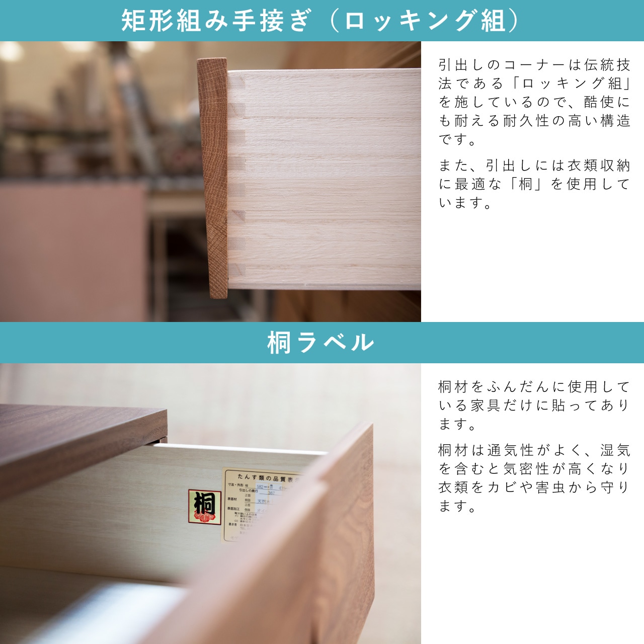 モデルノの特徴