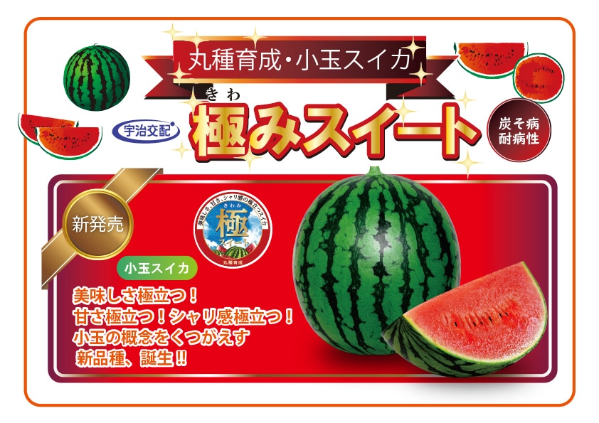 小玉の概念をくつがえす 自信作「極みスイート」誕生!!