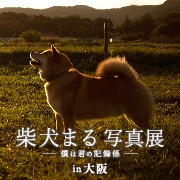 �Ƹ��ޤ�̿�Ÿin���