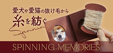 SPINNING MEMORIES
