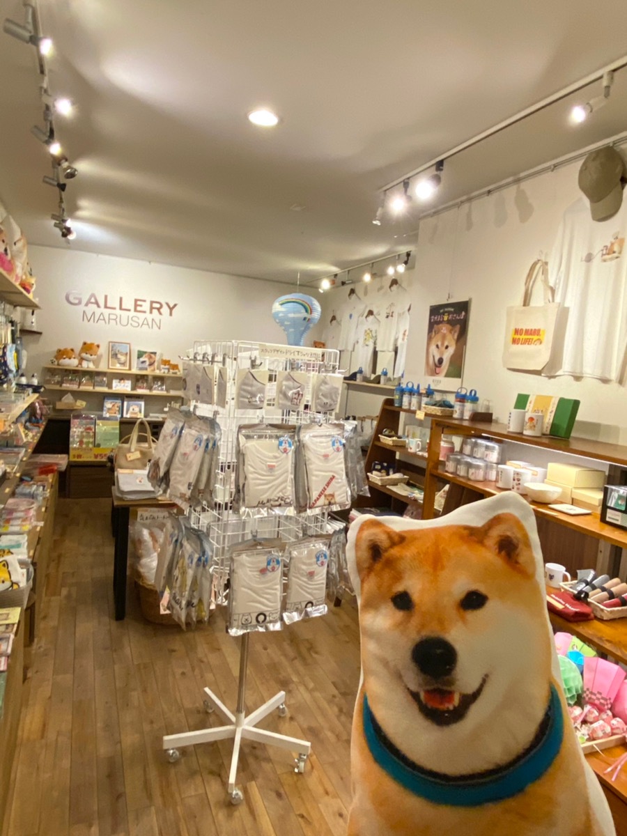 柴犬まるグッズ販売店舗 Gallery Marusan 柴犬まるグッズ公式通販ネットショップ Marutaro Shop