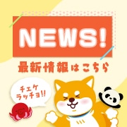 �ǿ�NEWS