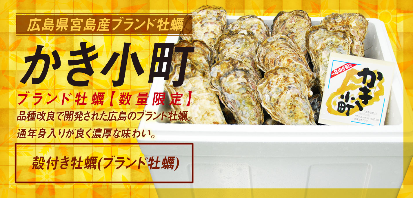 広島宮島産牡蠣生産者直送 【匠の牡蠣 マルツ水産】