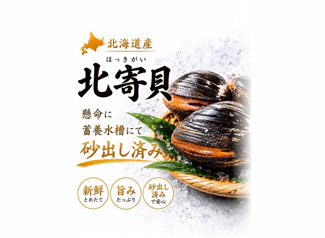 北寄貝 蓄養水槽にて砂出し済み