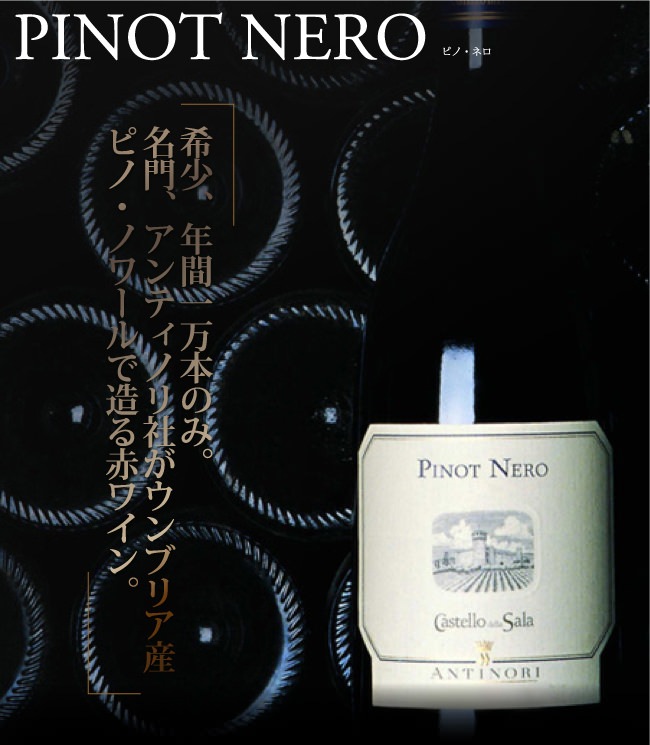 PINOT NERO — 希少、年間一万本のみ。名門、アンティノリ社がウンブリア産ピノ・ノワールで造る赤ワイン。