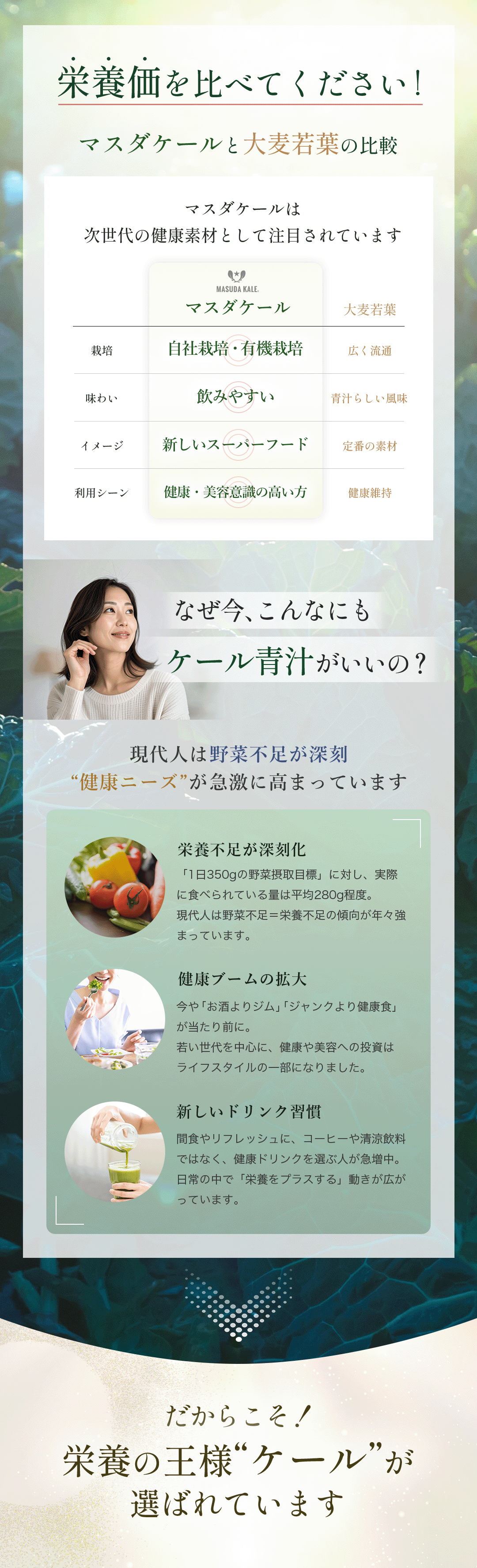 栄養価比較