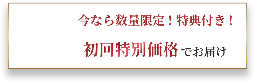���ʤ���̸��ꡪ��ŵ�դ���������̲��ʤǤ��Ϥ�
