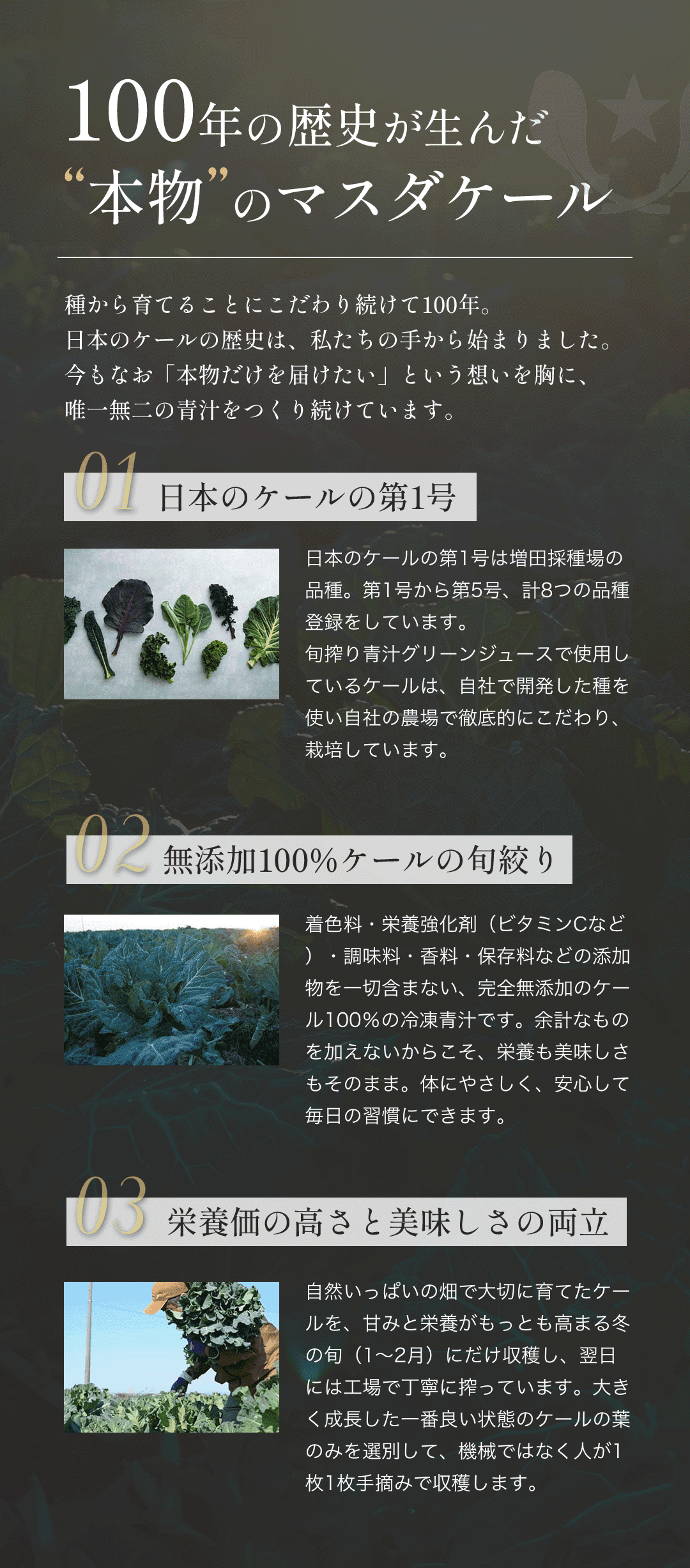 100年の歴史が生んだ本物のケール