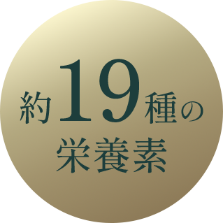 ��19��α�����