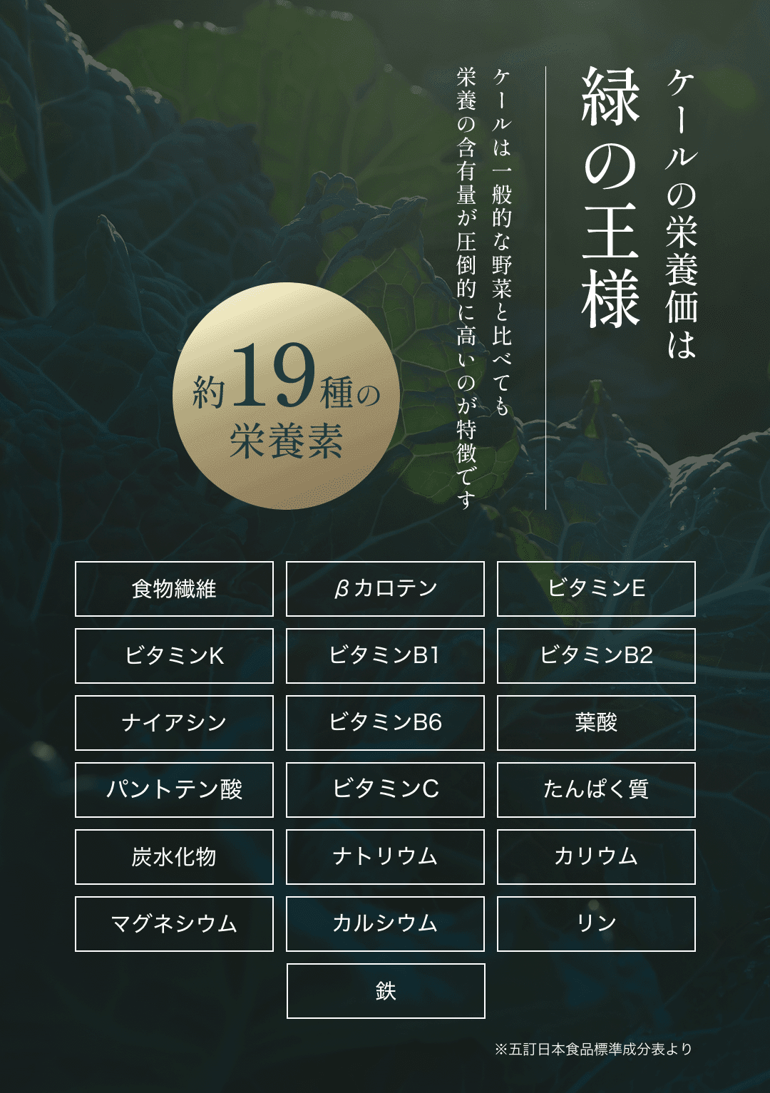 ケールの栄養価は緑の王様