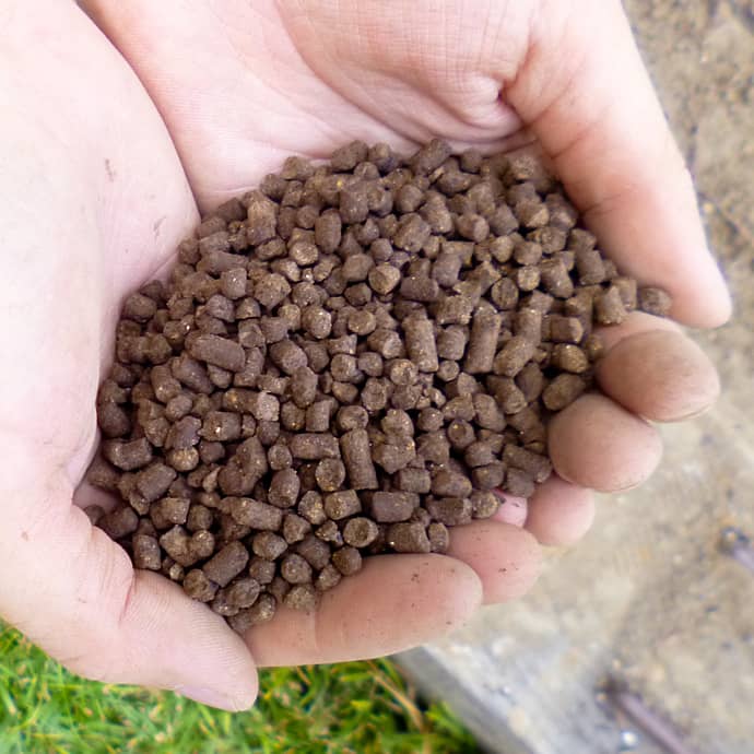 プチヴェールの肥料ならプチヴェール専用肥料（有機質100%生態動物質発酵特殊肥料）マスダケール