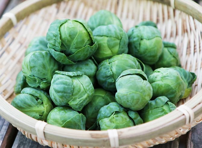 image-popular-vegi-brussels-