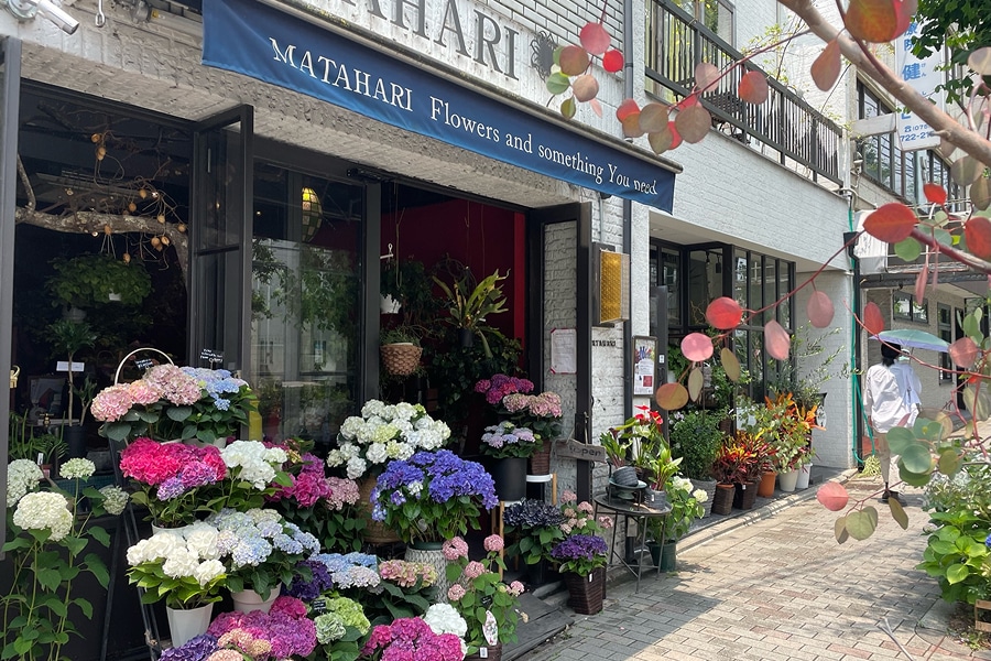 京都の閑静なエリアに佇む、選りすぐりの花で溢れた店舗