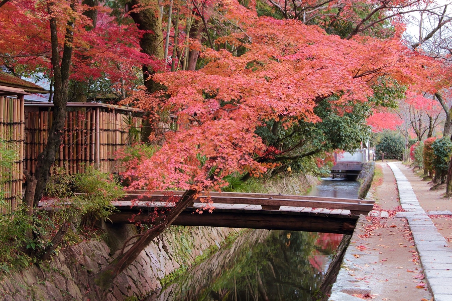 京都の閑静なエリアに佇む、選りすぐりの花で溢れた店舗