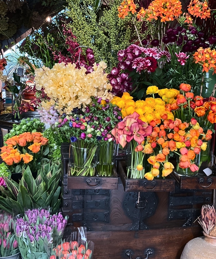 カシスレッドの店内と、色とりどりの花々