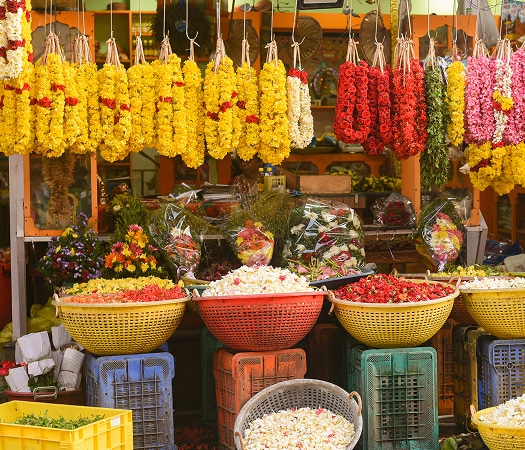 MATAHARIについて