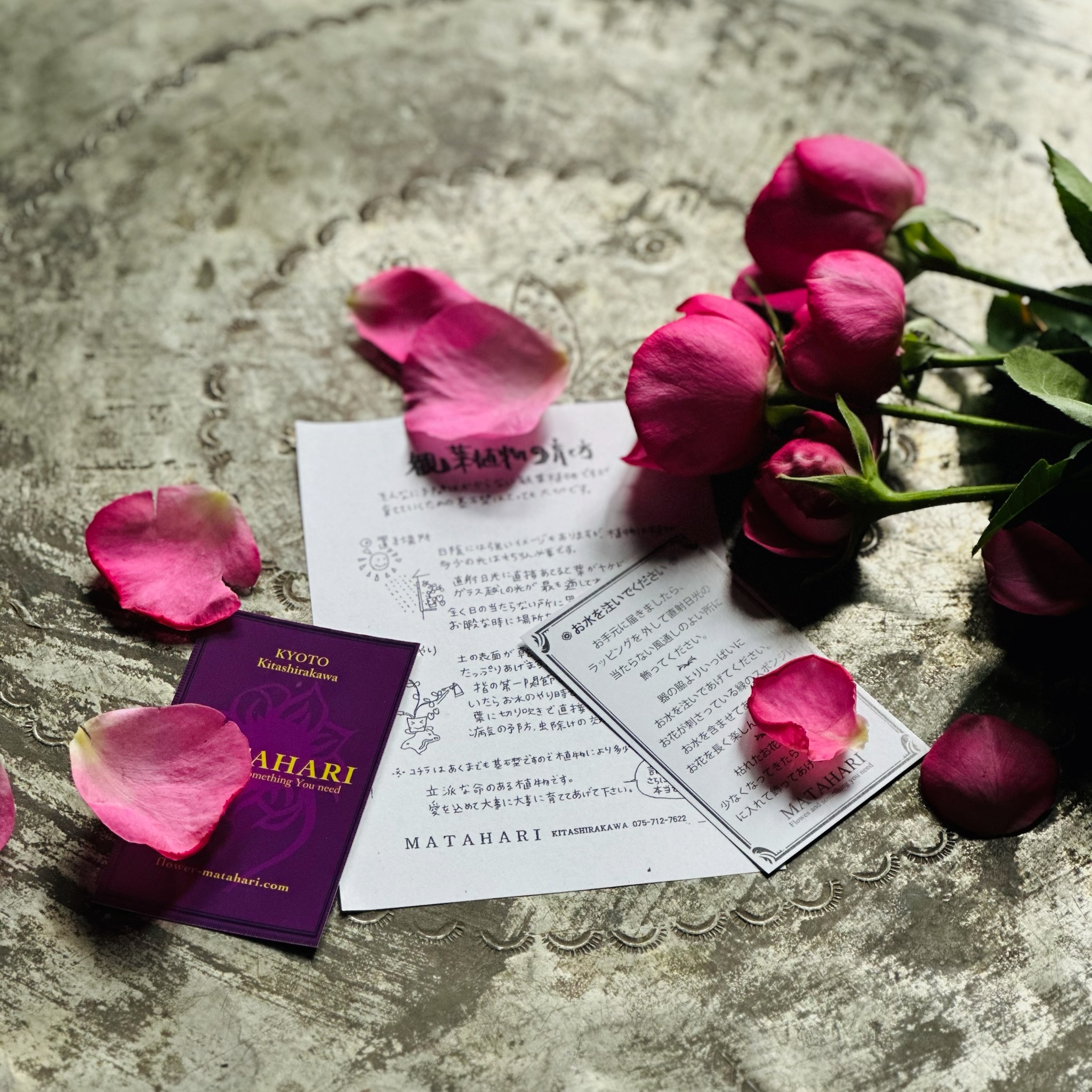 お手入れ方法の説明書付き