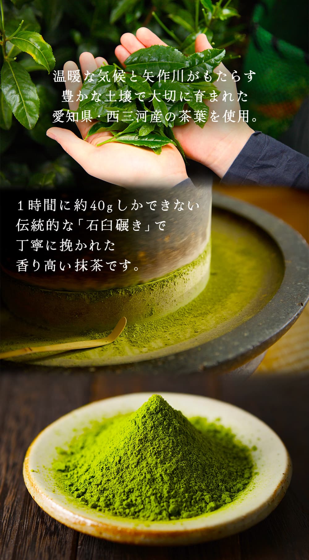 温暖な気候と矢作川の恵みで育った西三河産の茶葉を使用し、1時間に約40gしか挽けない伝統的な石臼碾きで丁寧に仕上げた西尾抹茶。甘み豊かで、きめ細やかな粉質と華やかな香り、深いコクが際立つ抹茶のイメージ画像