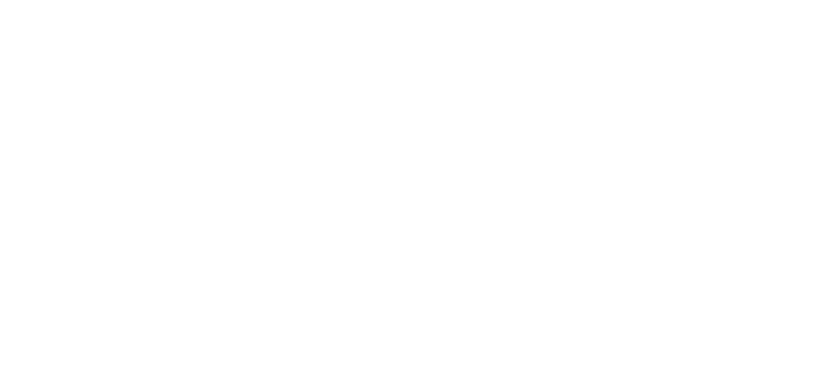 犬】プロベット アンチパラサイト Anti-Parasites 犬用サプリメント