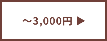 ~3,000円