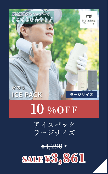 アイスパック ラージサイズ