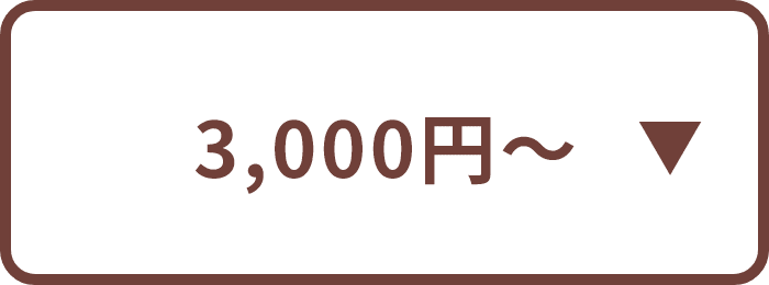 3,000円~