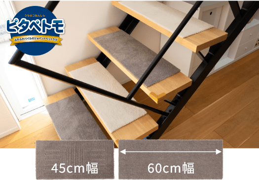 ピタペトモ ミニサイズ 60cm幅