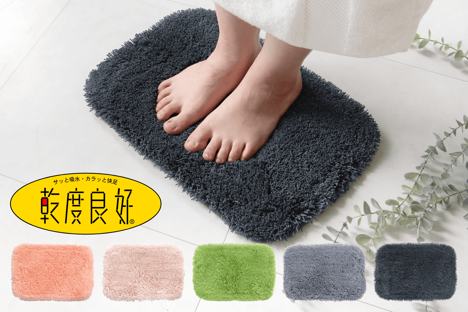 乾度良好ピコ12