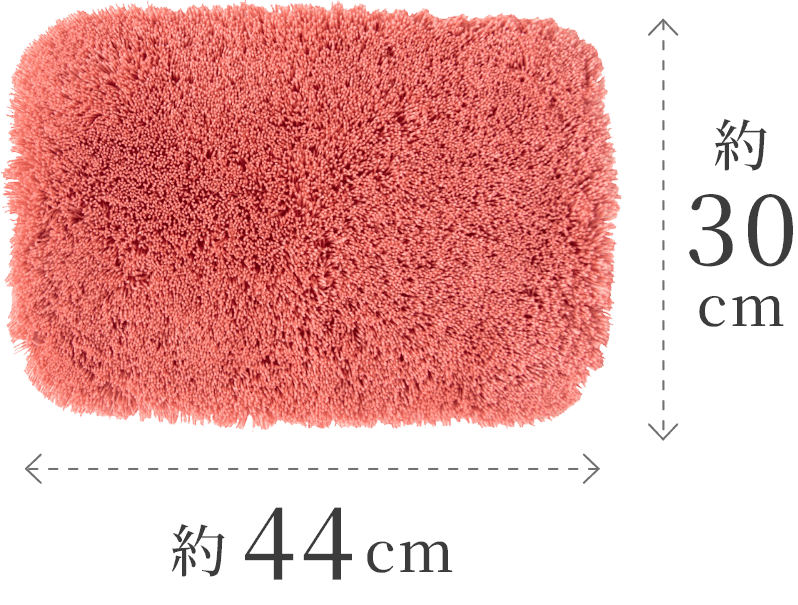 サイズ約30cm×約44cm