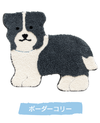 ボーダーコリー