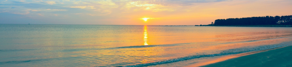 ��������������ħ