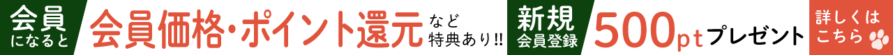 マツヒロの通販
            になると特典あり（会員価格で買える・ポイント還元など）