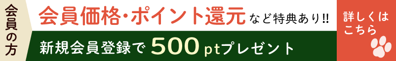 マツヒロの通販会員になると特典あり（会員価格で買える・ポイント還元など）