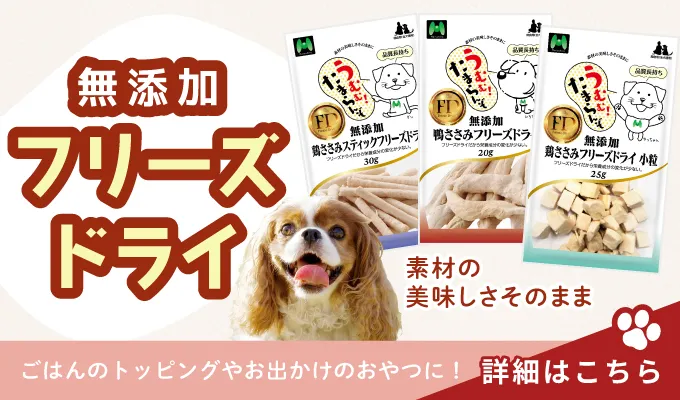 犬用フリーズドライ特集