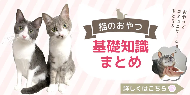 猫のおやつ基礎知識まとめ